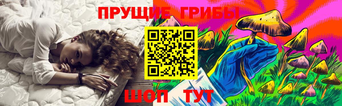 Псилоцибиновые грибы мицелий  Псилоцибиновые грибы Psilocybe  Новокубанск  Вход с VPN 