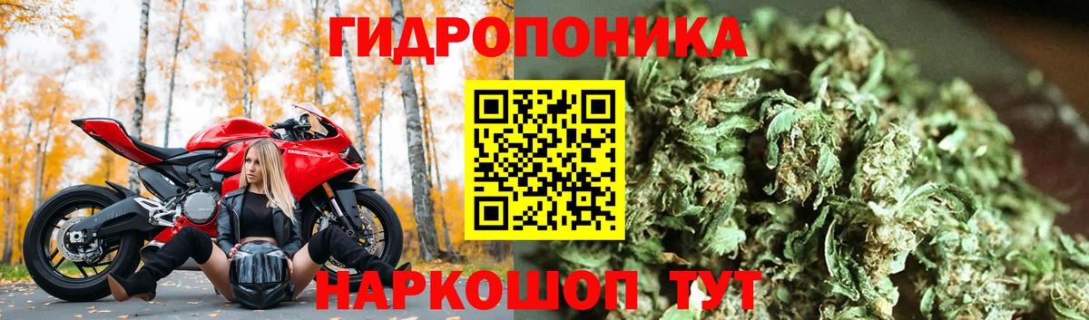 Новокубанск  Бошки марихуана марихуана  Вход с VPN  Бошки марихуана индика  Бошки марихуана марихуана 